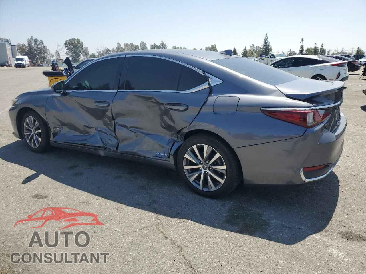 LEXUS ES300 2020 - 58AC21B12LU006208