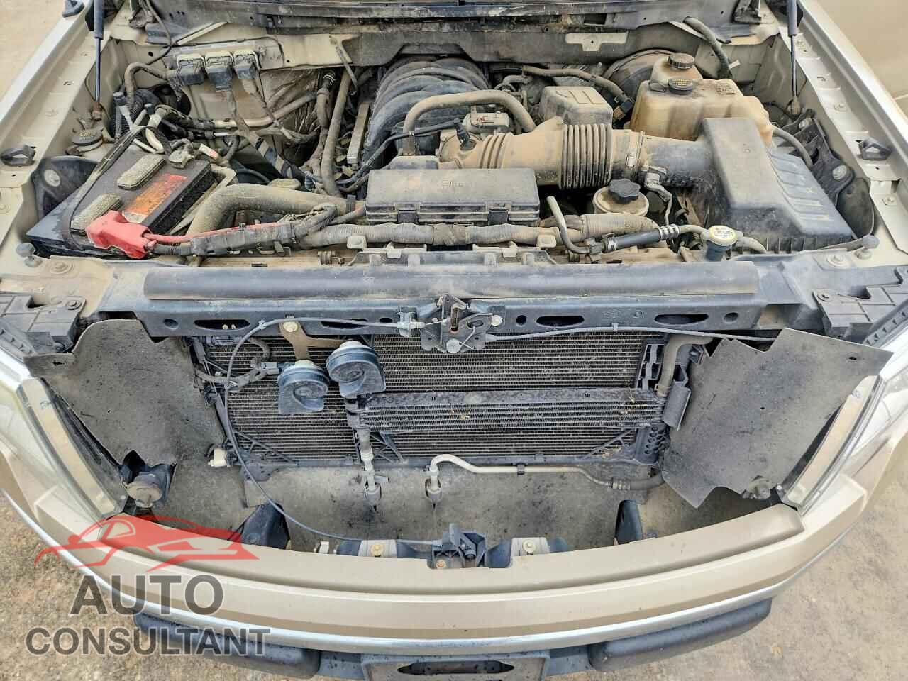 FORD F150 2010 - 1FTEW1C83AFD86634