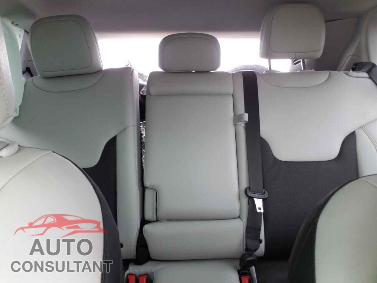 JEEP COMPASS 2020 - 3C4NJCCB1LT249139