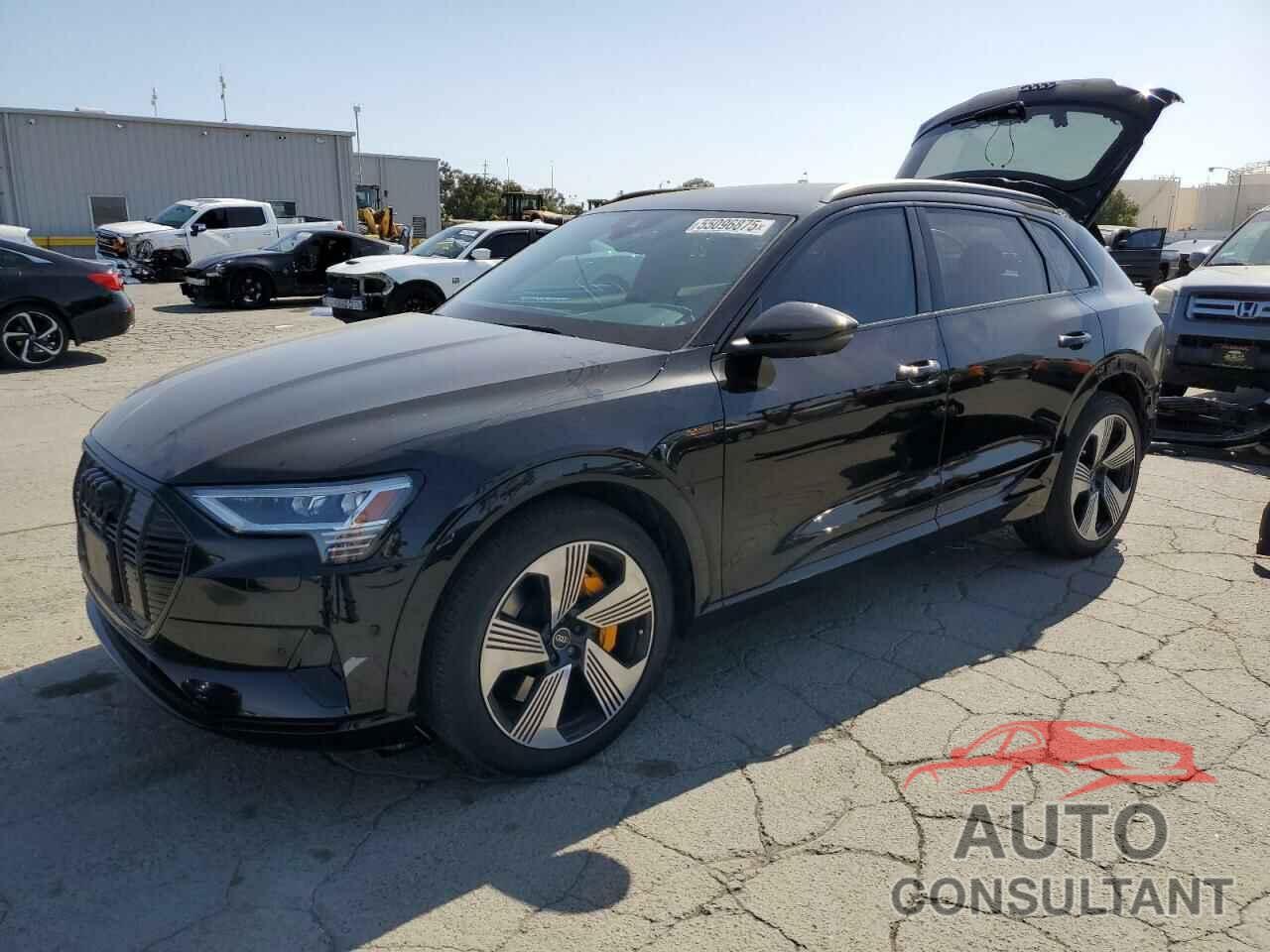 AUDI E-TRON 2022 - WA1LAAGE3NB009881