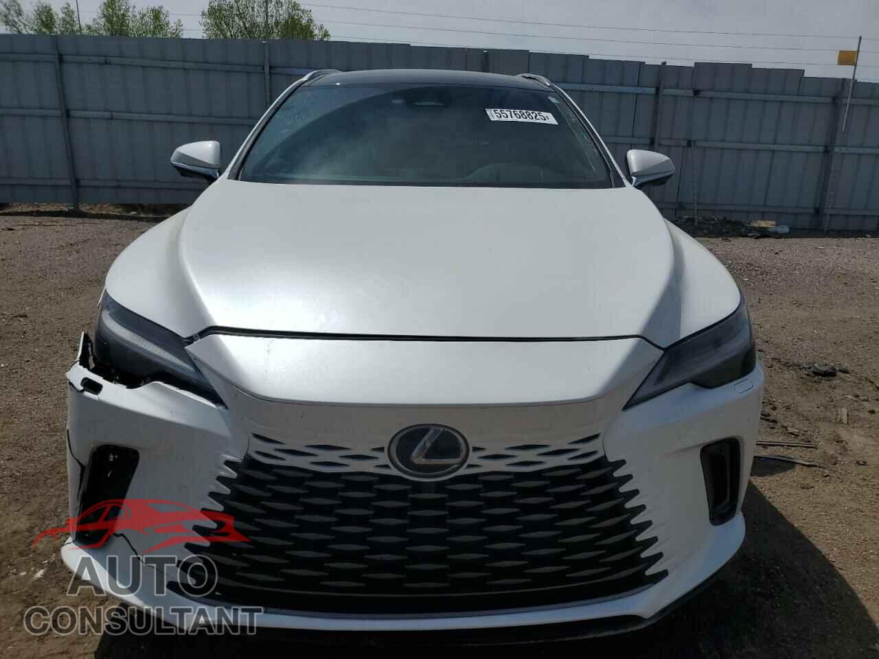 LEXUS RX 350H BA 2024 - 2T2BBMCA9RC044401