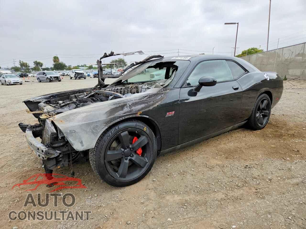 DODGE CHALLENGER 2013 - 2C3CDYCJ1DH501084