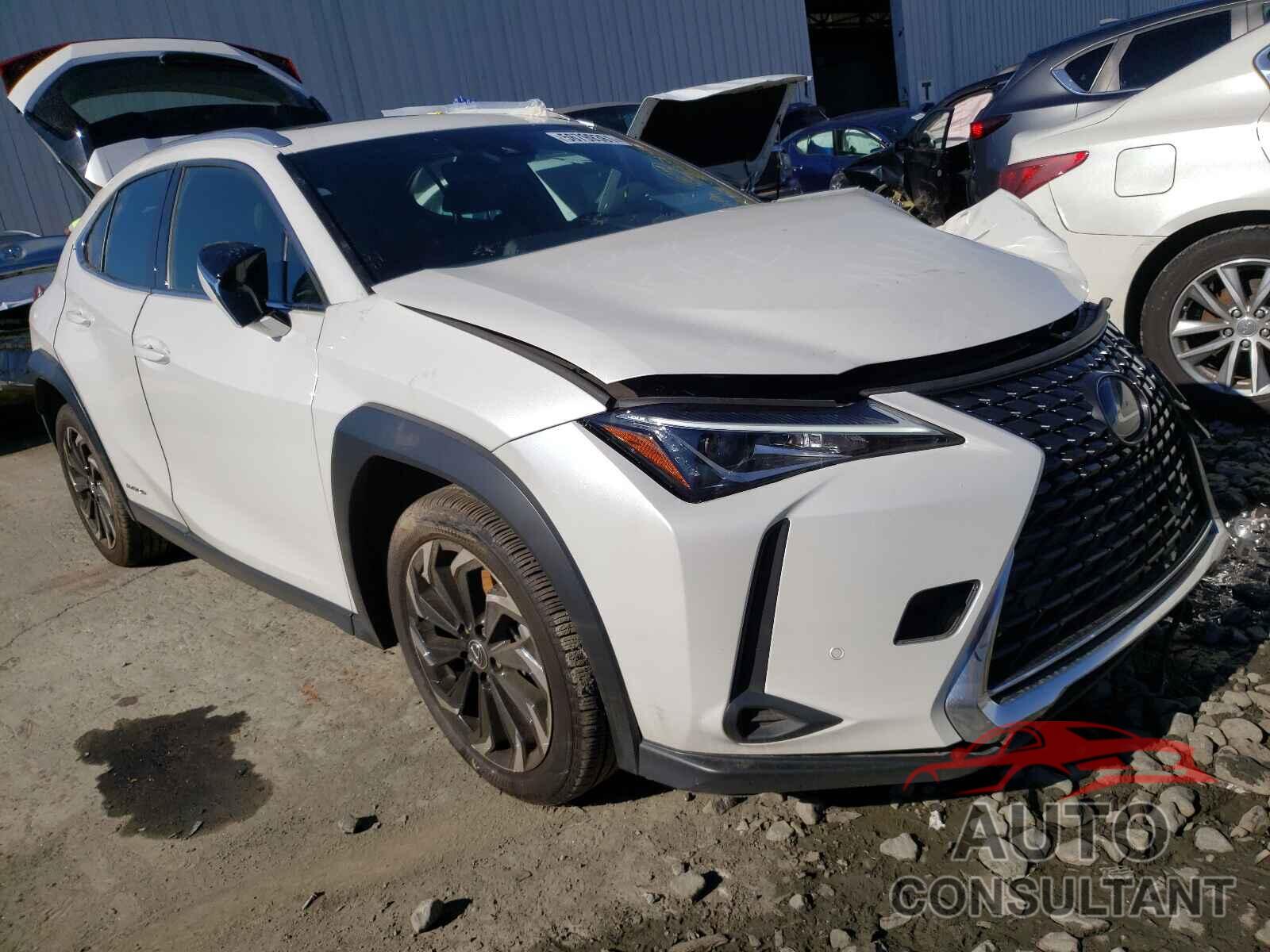 LEXUS UX 250H 2020 - JTHP9JBH3L2024961