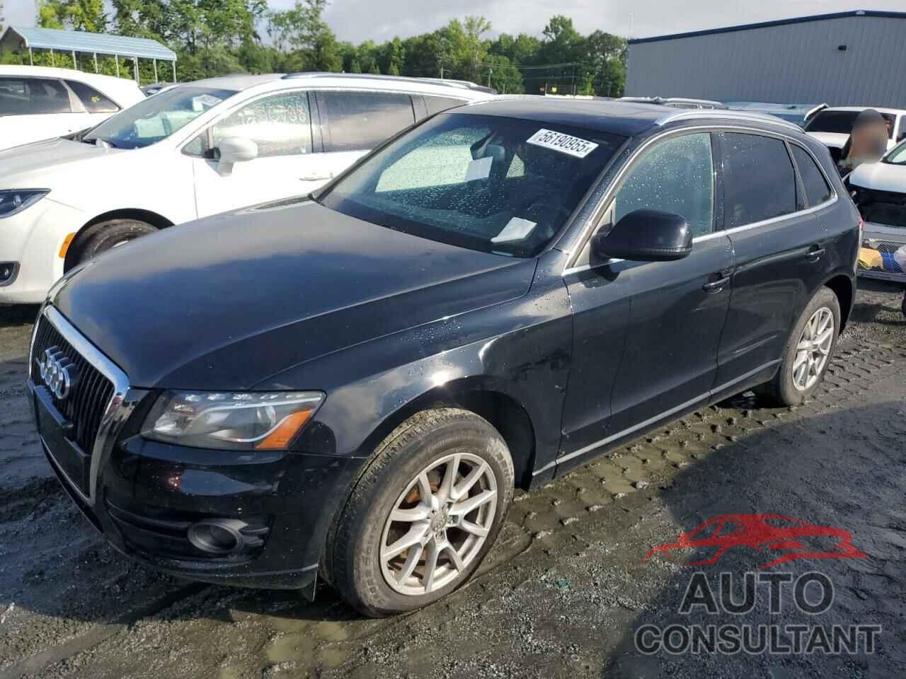 AUDI Q5 2010 - WA1LKBFP6AA012019