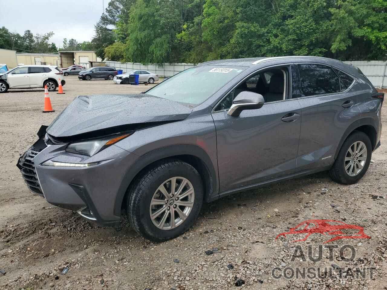 LEXUS NX 2021 - JTJDJRDZ2M2147276
