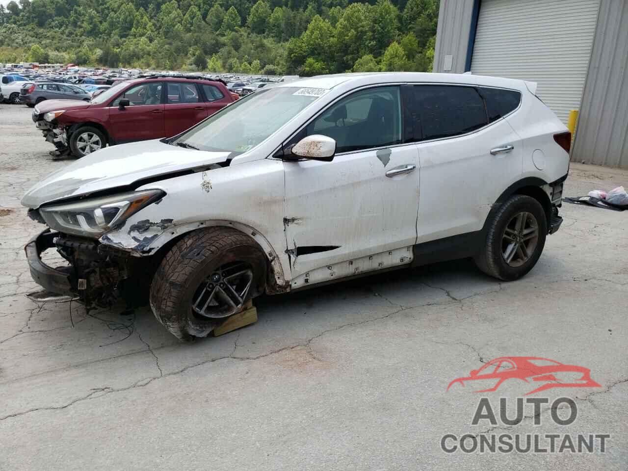 HYUNDAI SANTA FE 2017 - 5NMZTDLB5HH029654