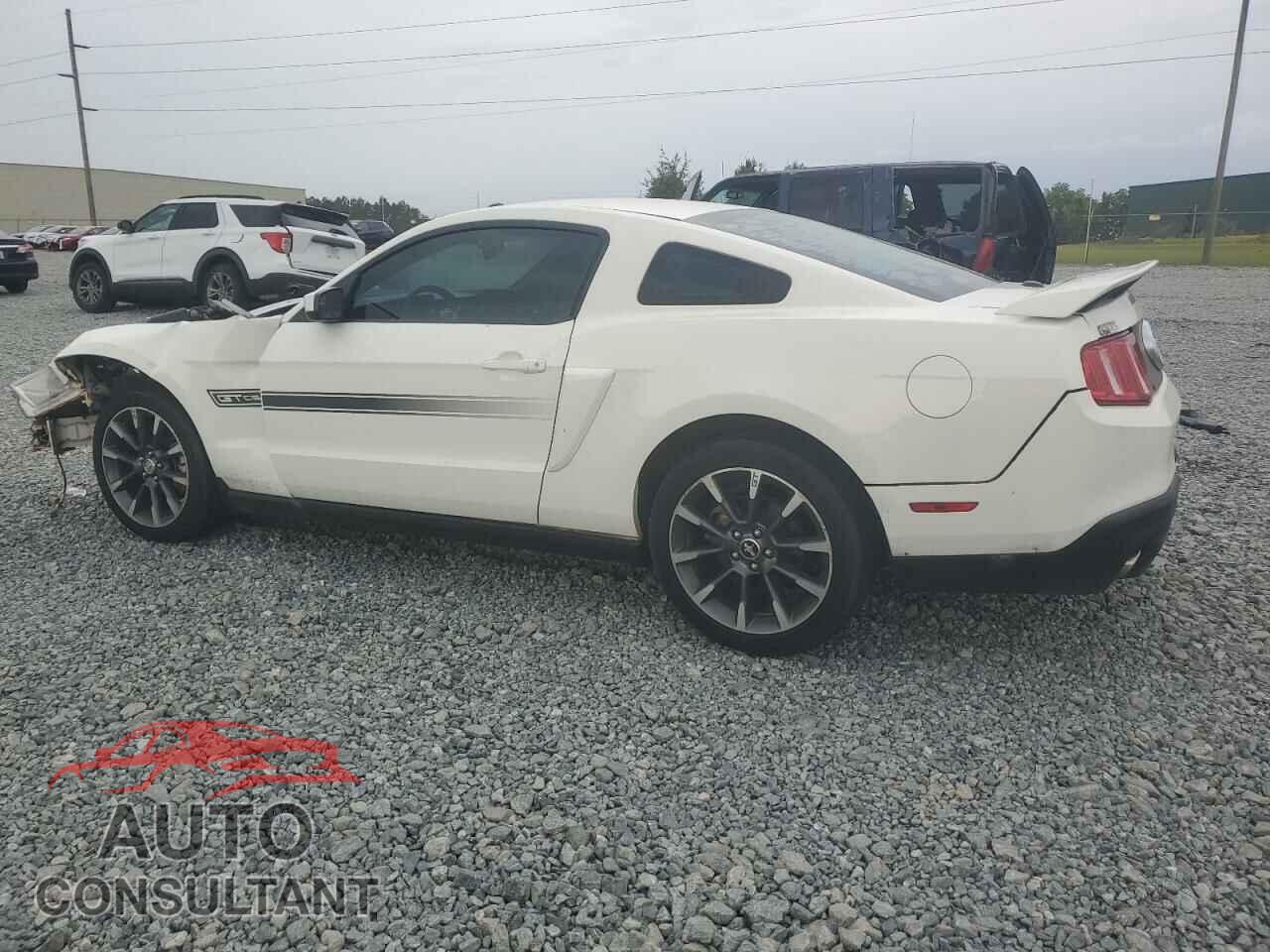 FORD MUSTANG 2011 - 1ZVBP8CF9B5161081