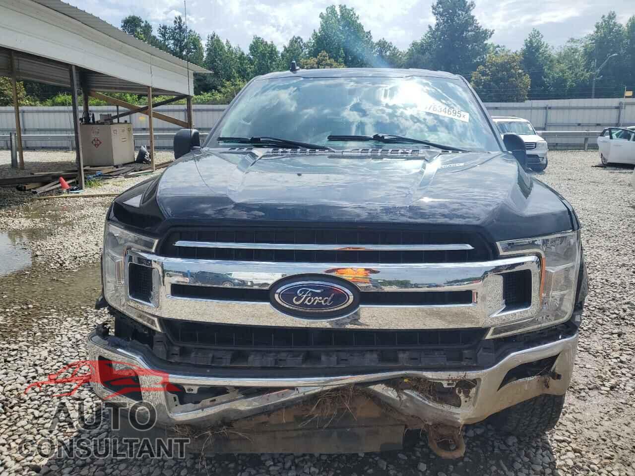 FORD F-150 2019 - 1FTEW1EP3KFA24681