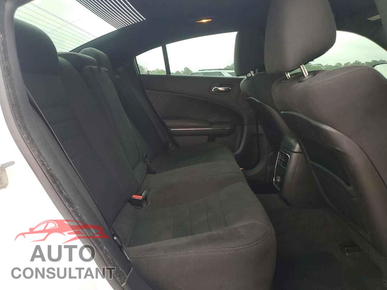 DODGE CHARGER 2014 - 2C3CDXCTXEH134263
