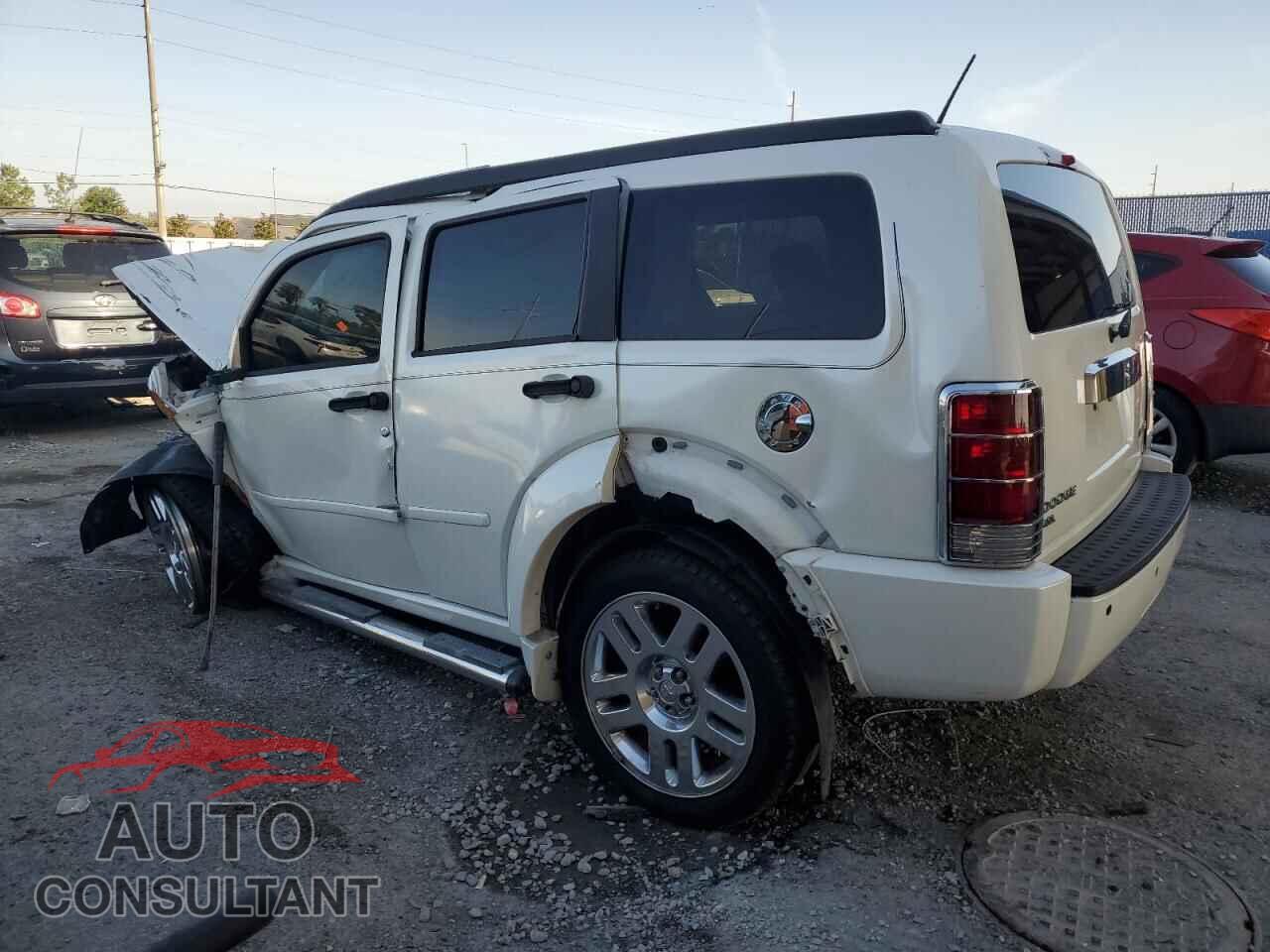 DODGE NITRO 2010 - 1D4PT6GX4AW156717