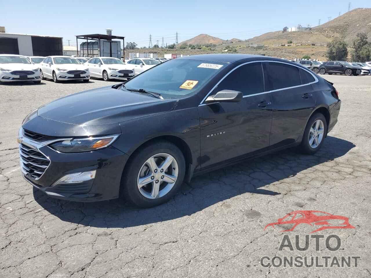 CHEVROLET MALIBU 2019 - 1G1ZB5ST5KF126921
