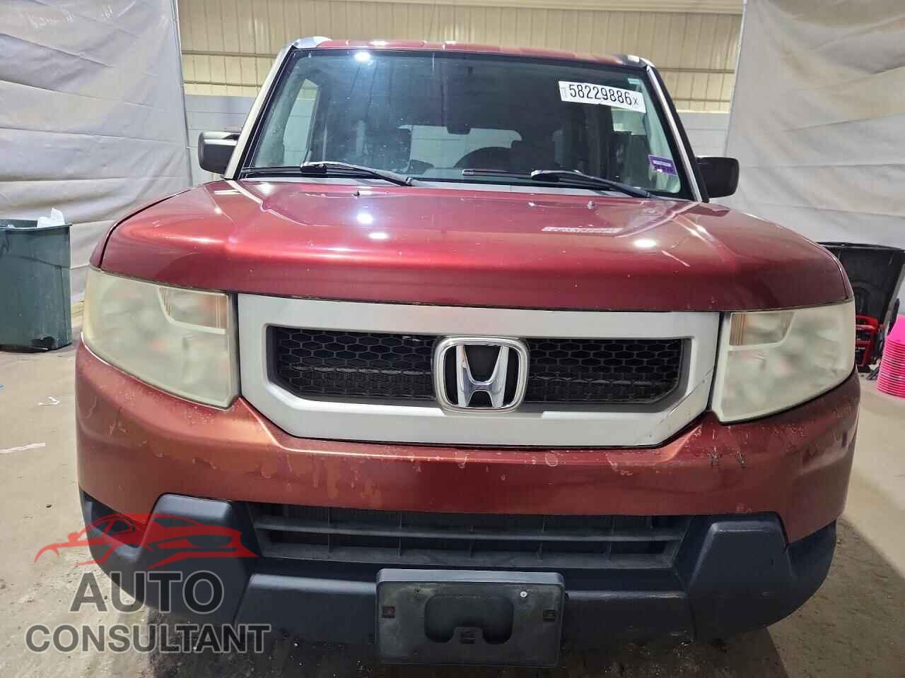 HONDA ELEMENT 2009 - 5J6YH28329L003560