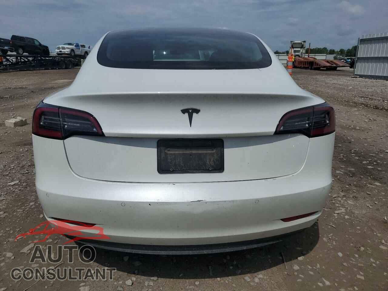 TESLA MODEL 3 2021 - 5YJ3E1EA1MF854279
