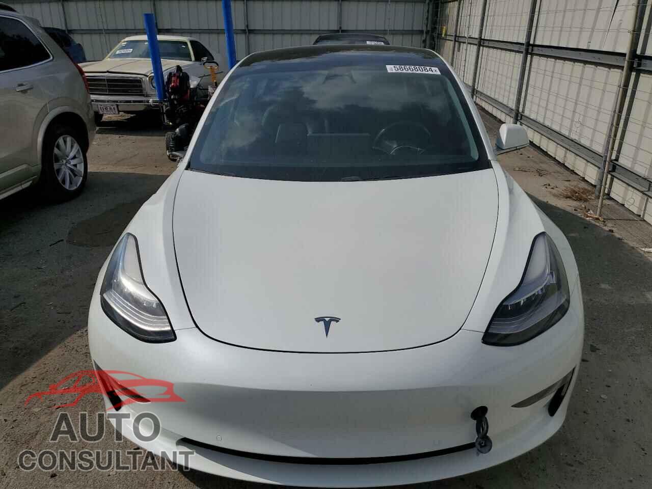 TESLA MODEL 3 2019 - 5YJ3E1EA3KF412066