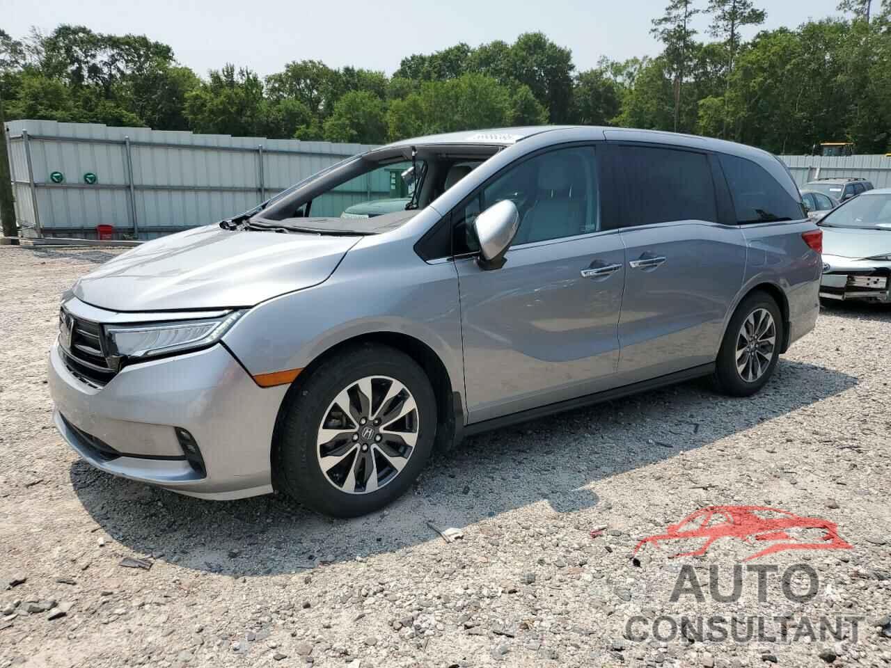 HONDA All Models 2023 - 5FNRL6H6XPB064259
