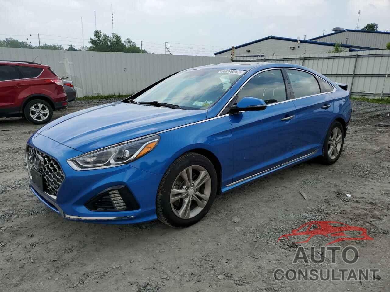 HYUNDAI SONATA 2019 - 5NPE34AF8KH736178