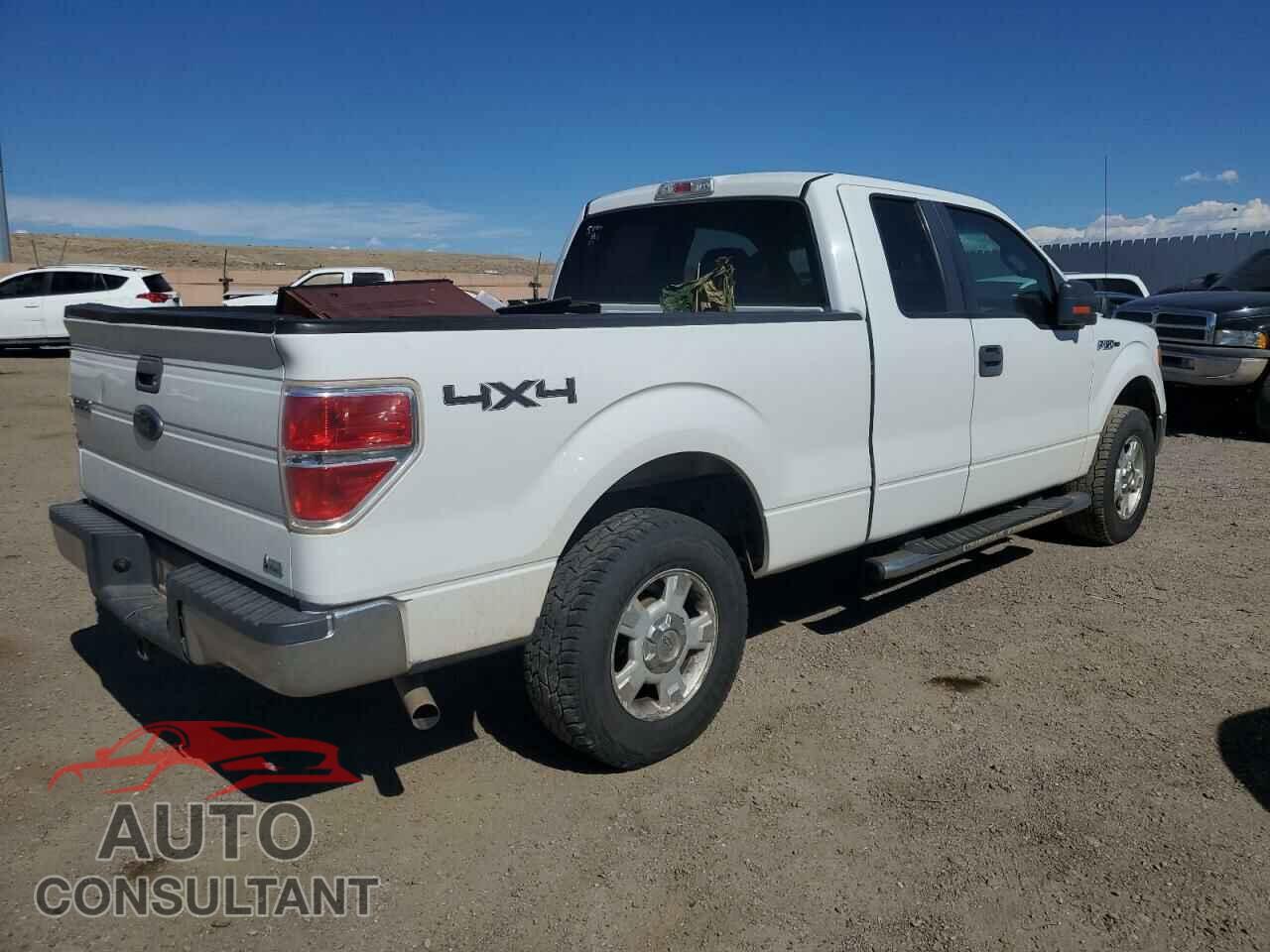 FORD F-150 2010 - 1FTFX1EVXAFA84018