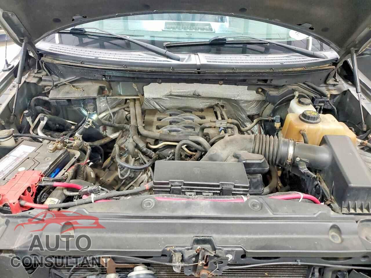 FORD F150 2011 - 1FTFX1EF1BFB46819