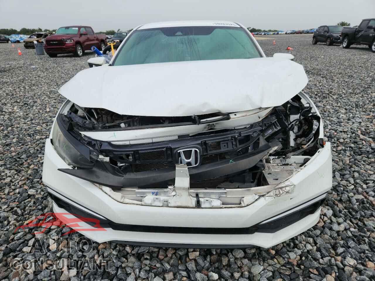 HONDA CIVIC 2019 - 2HGFC2F63KH562242