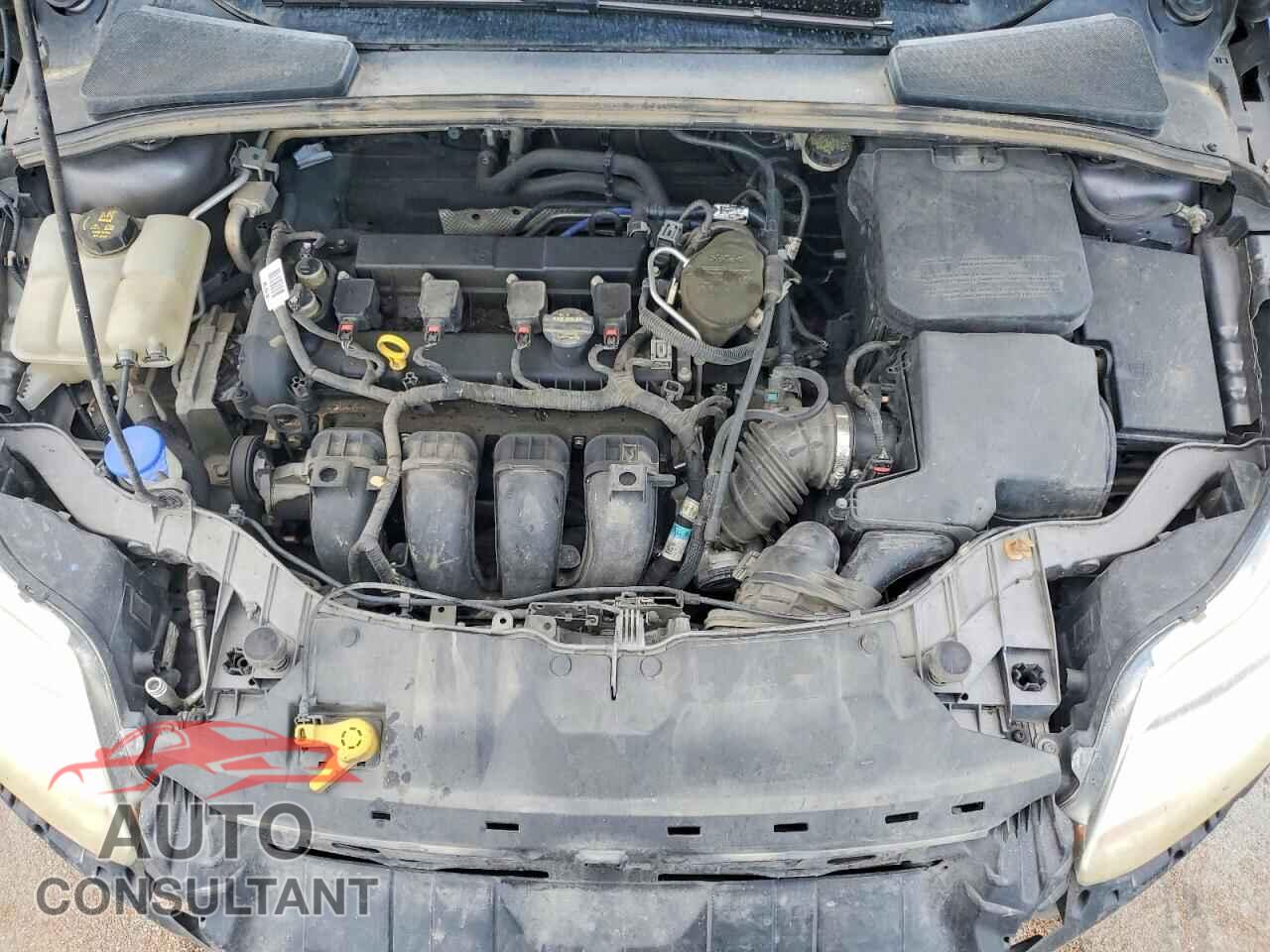 FORD FOCUS 2014 - 1FADP3F2XEL165783