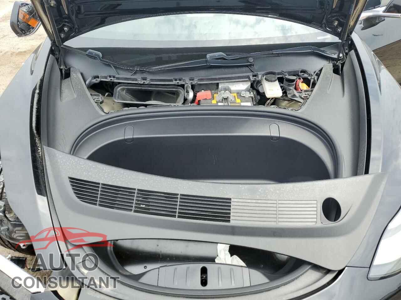TESLA MODEL 3 2019 - 5YJ3E1EAXKF297921
