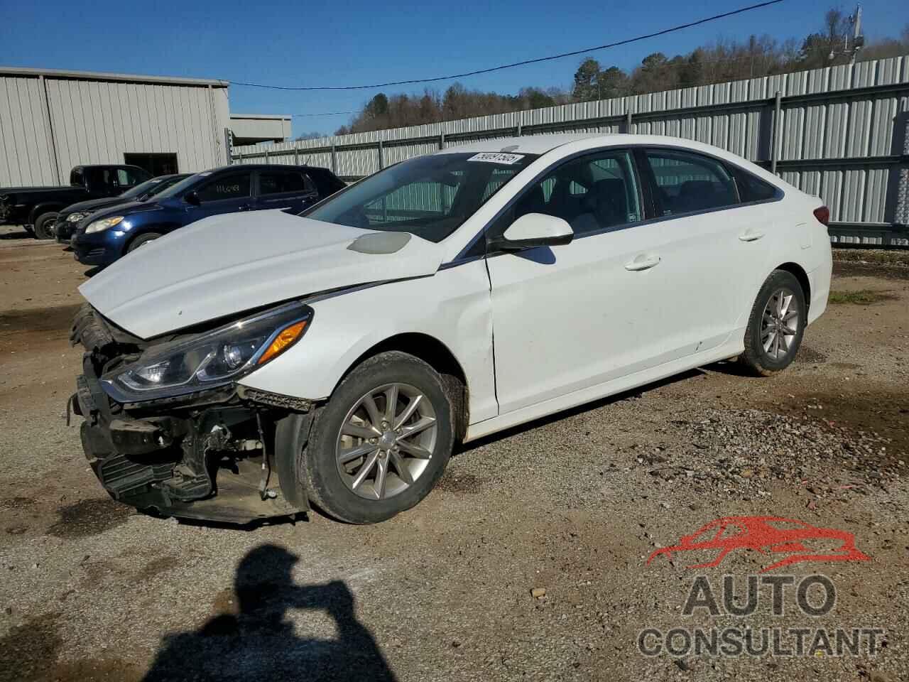 HYUNDAI SONATA 2019 - 5NPE24AF7KH746302