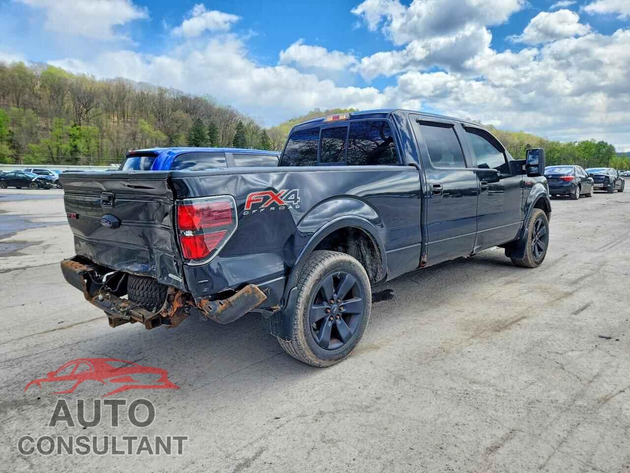 FORD F150 2013 - 1FTFW1EF4DFD50519