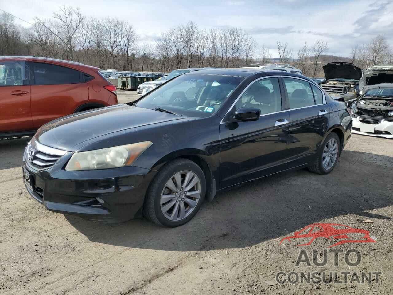 HONDA ACCORD 2011 - 5KBCP3F89BB001595