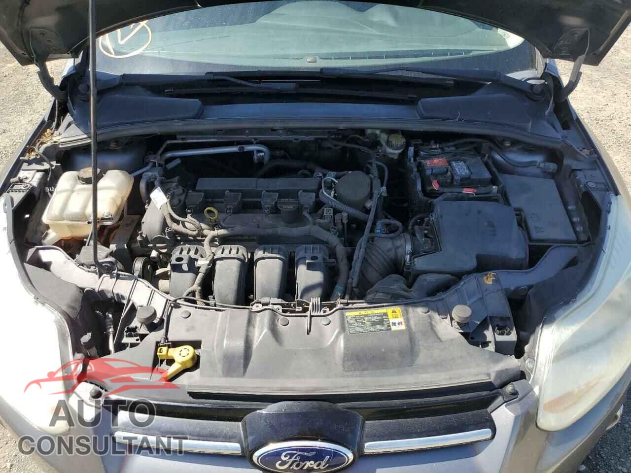 FORD FOCUS 2012 - 1FAHP3F26CL371455