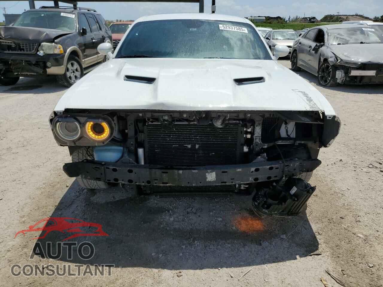 DODGE CHALLENGER 2019 - 2C3CDZAG4KH524658