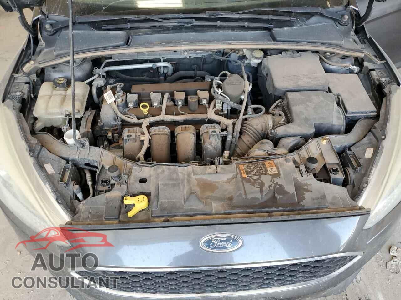 FORD FOCUS 2016 - 1FADP3E20GL306073