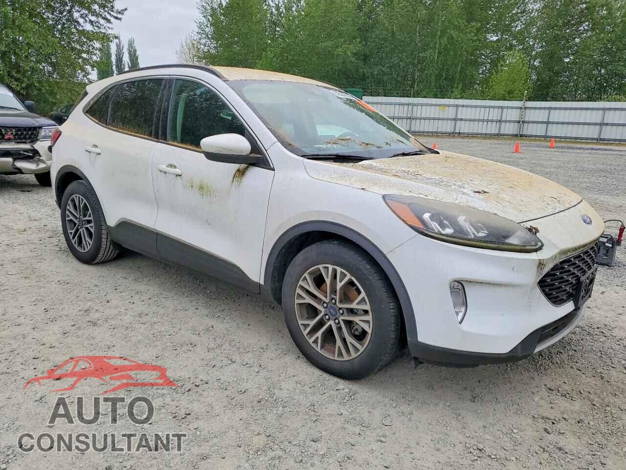 FORD ESCAPE 2020 - 1FMCU0H69LUA81308