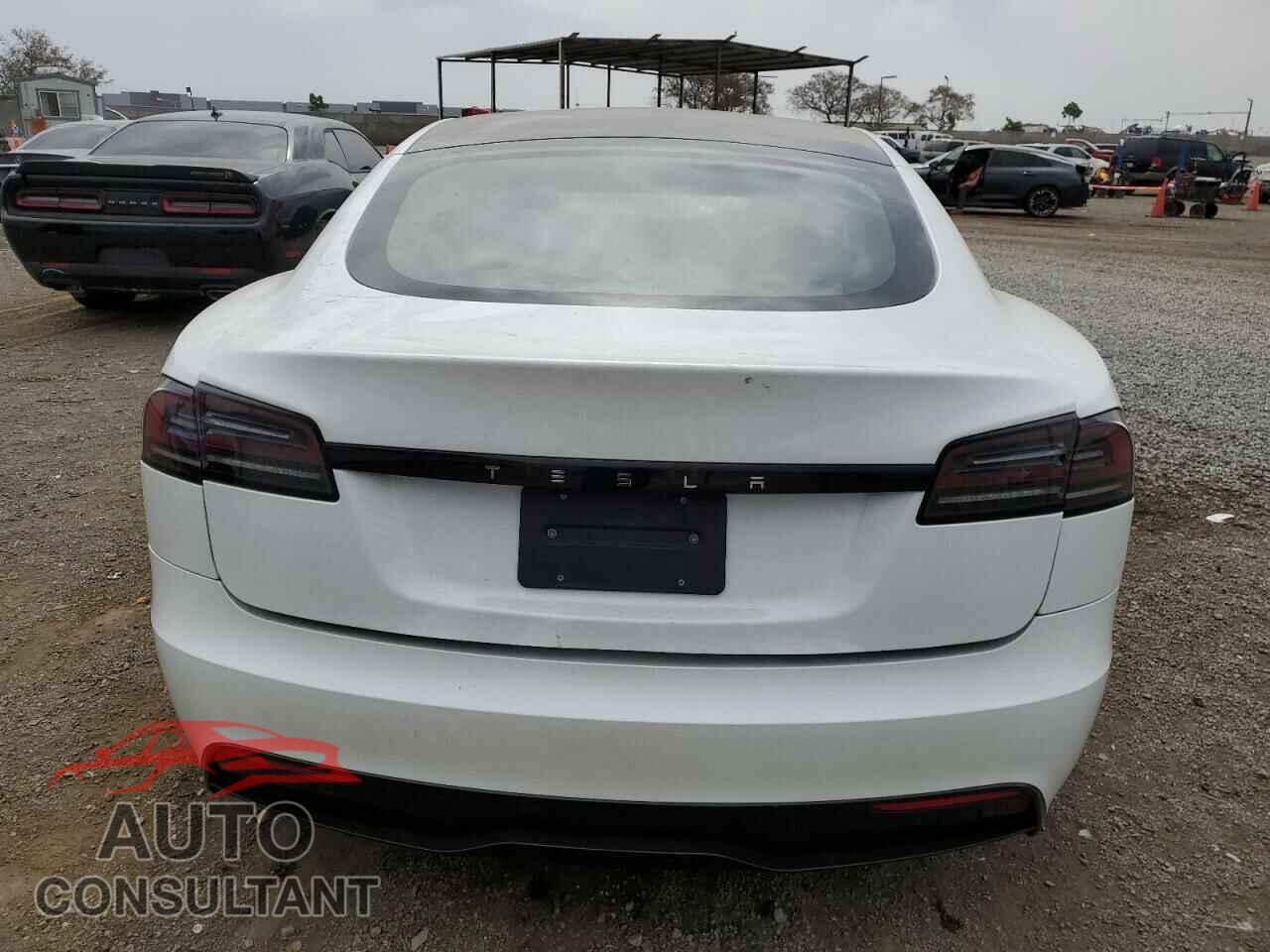 TESLA MODEL S 2023 - 5YJSA1E57PF528386