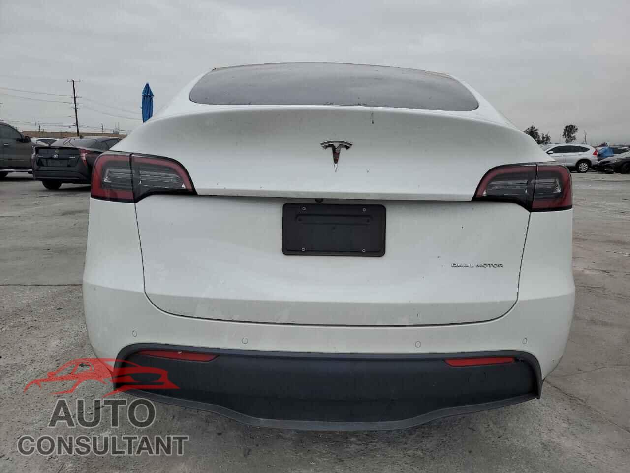 TESLA MODEL Y 2022 - 7SAYGAEE7NF557525