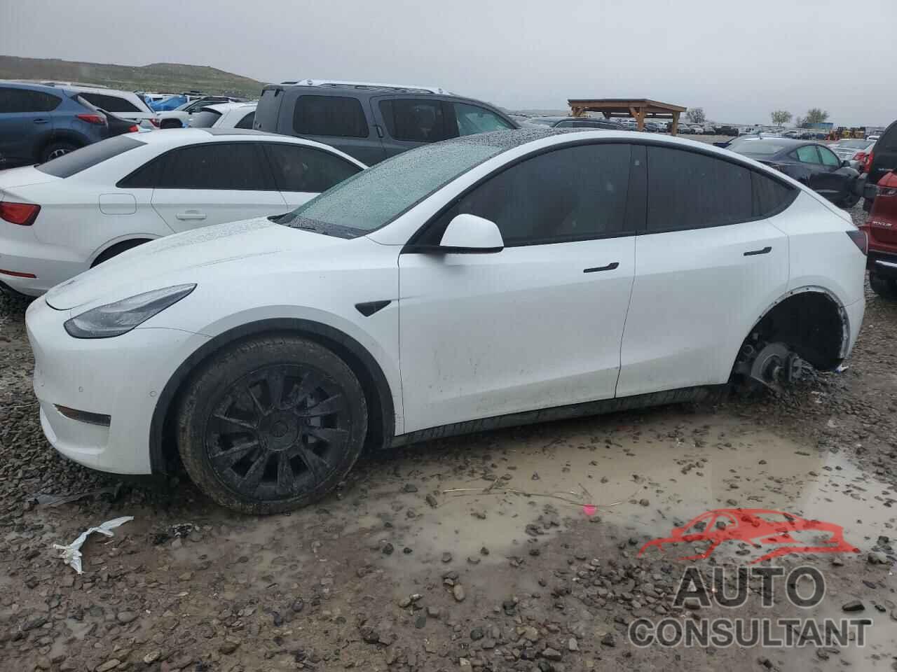 TESLA MODEL Y 2020 - 5YJYGDEE4LF052702