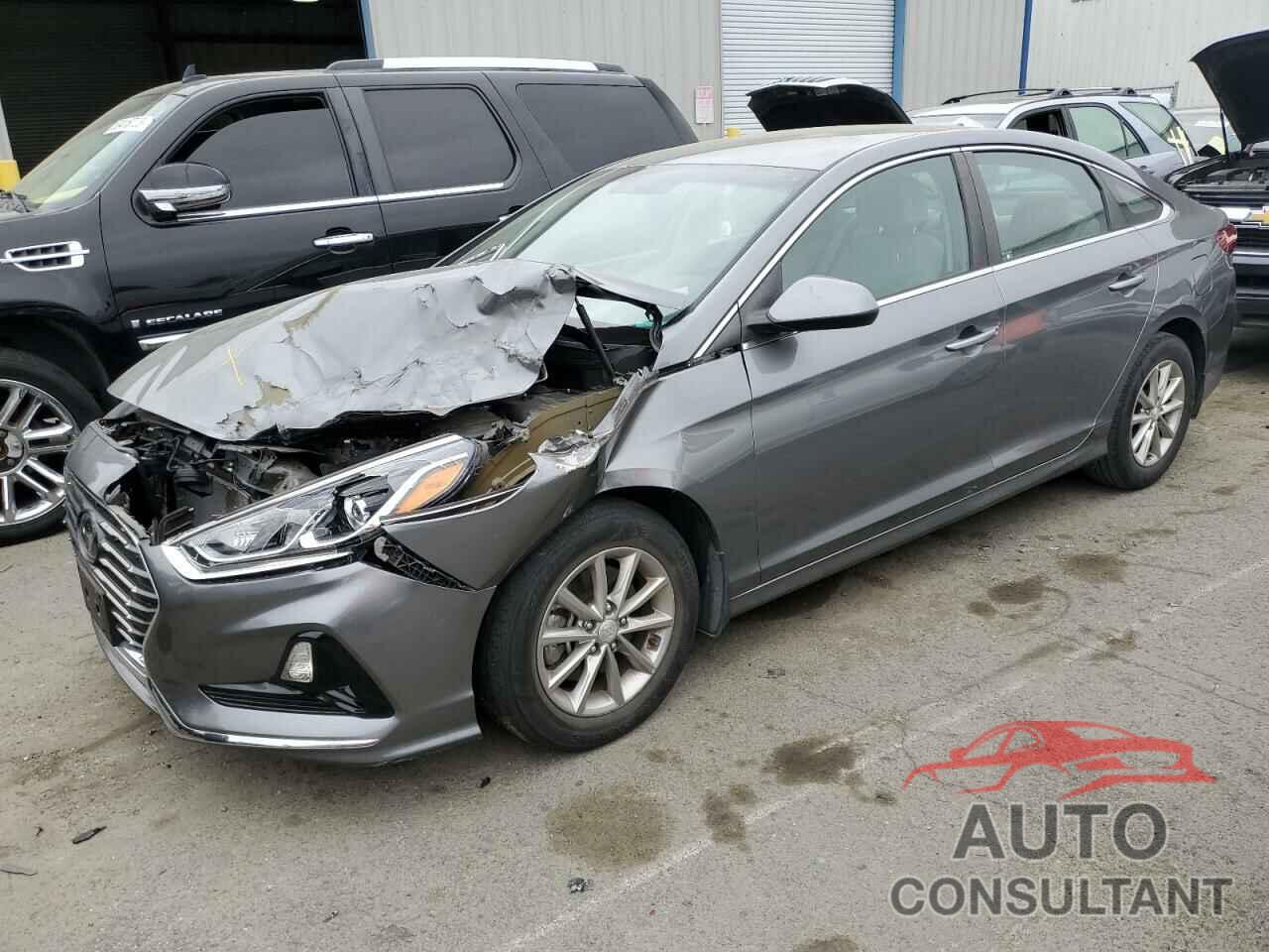 HYUNDAI SONATA 2019 - 5NPE24AFXKH781125