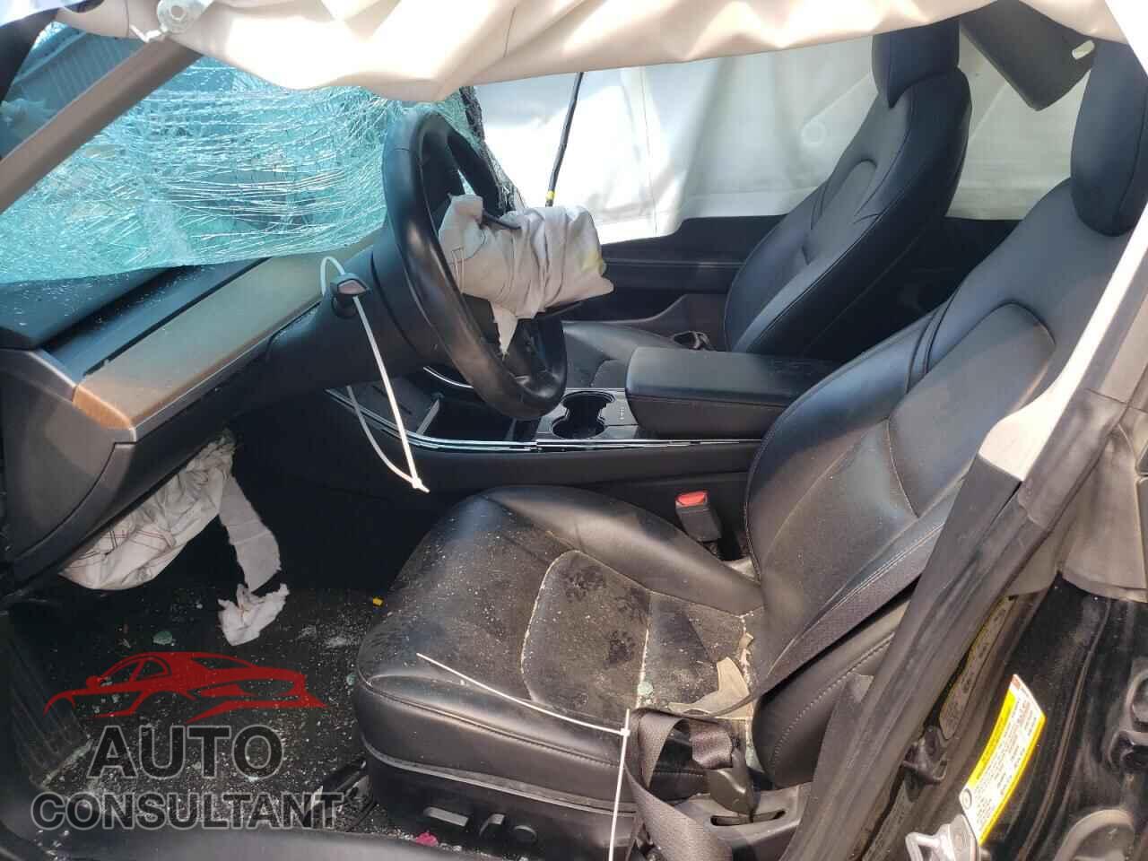 TESLA MODEL 3 2019 - 5YJ3E1EA1KF300916