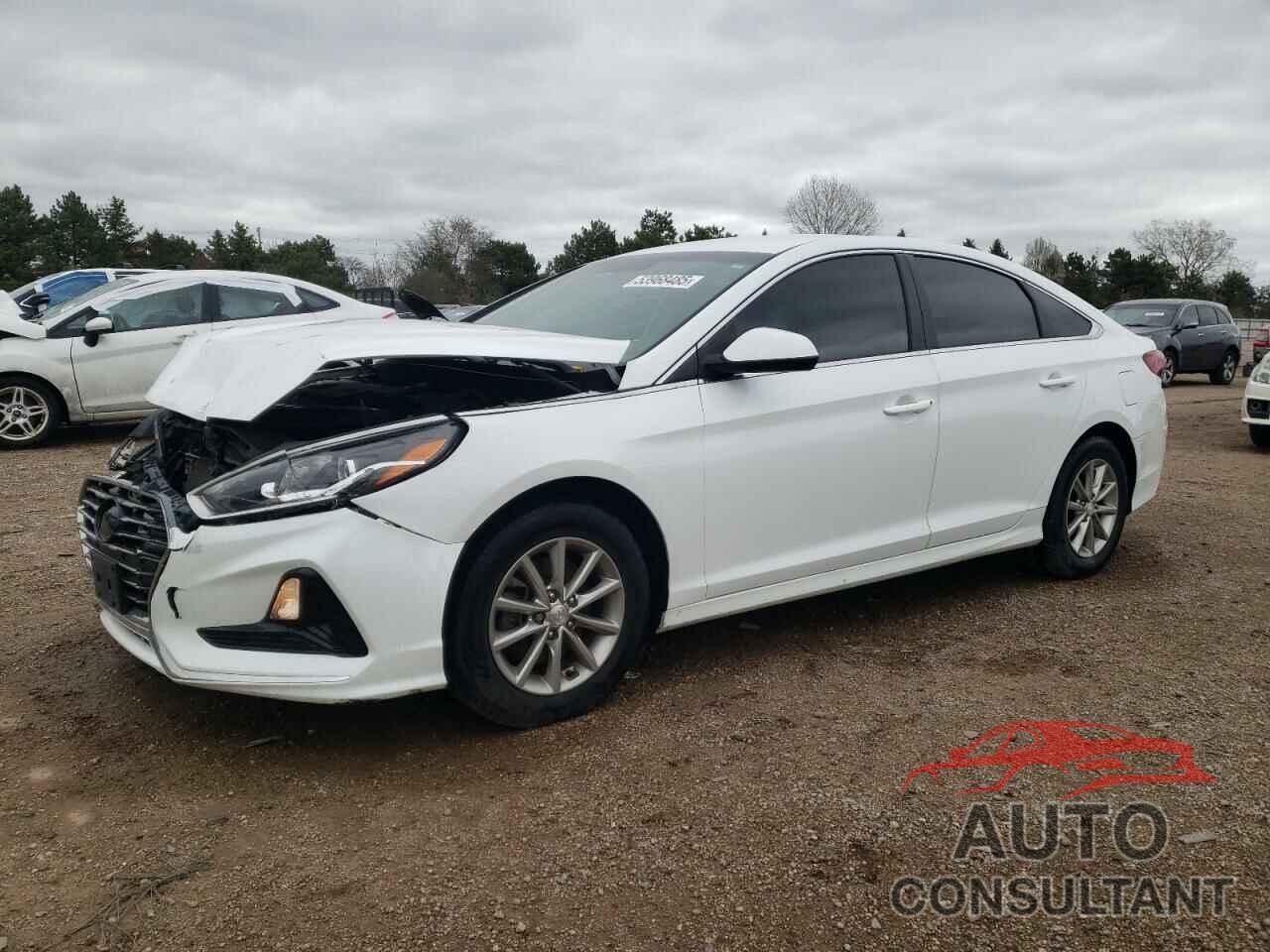 HYUNDAI SONATA 2019 - 5NPE24AF6KH782448