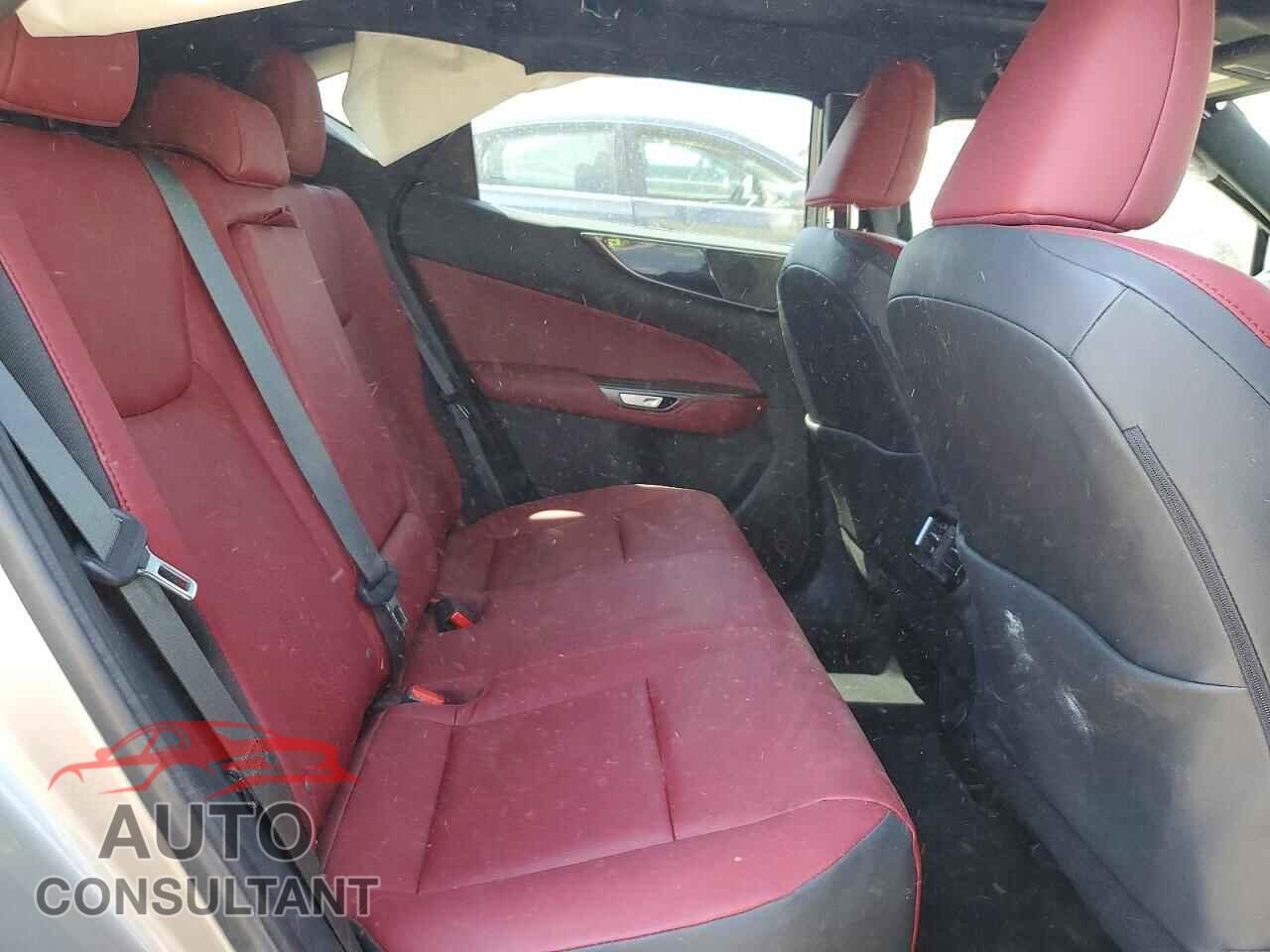 LEXUS NX 2025 - 2T2AGCEZ6SC072916