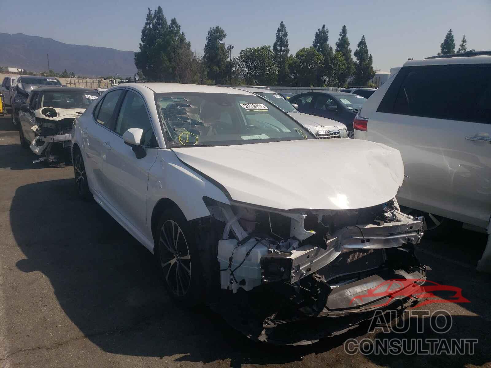 TOYOTA CAMRY 2019 - 4T1B11HK6KU850448