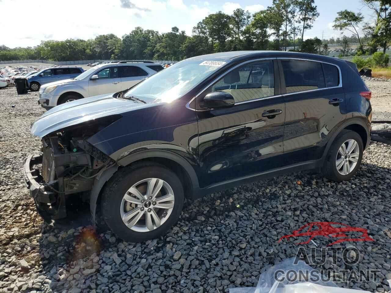 KIA SPORTAGE 2017 - KNDPM3AC5H7082212