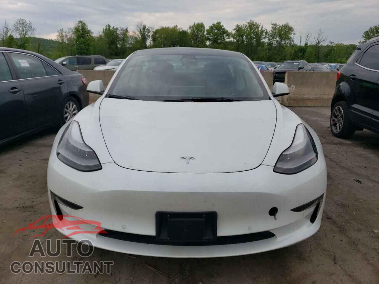TESLA MODEL 3 2022 - 5YJ3E1EA3NF315681