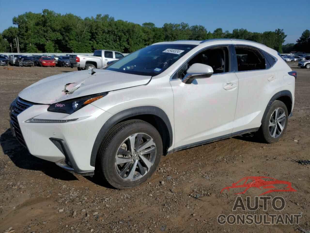 LEXUS NX 2018 - JTJYARBZ5J2110495