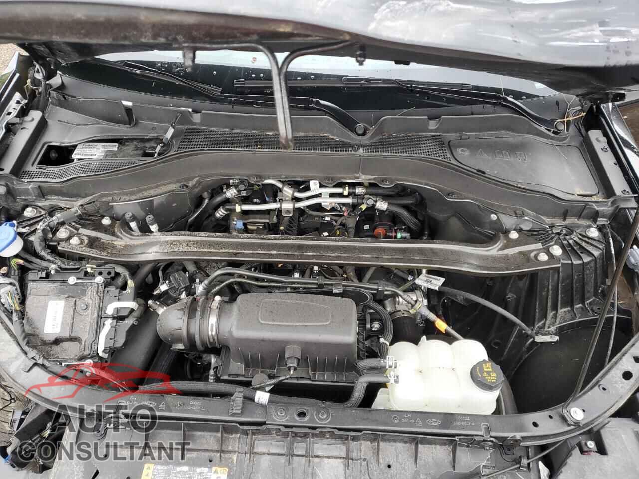 FORD EXPLORER 2023 - 1FMSK8DH3PGC41338