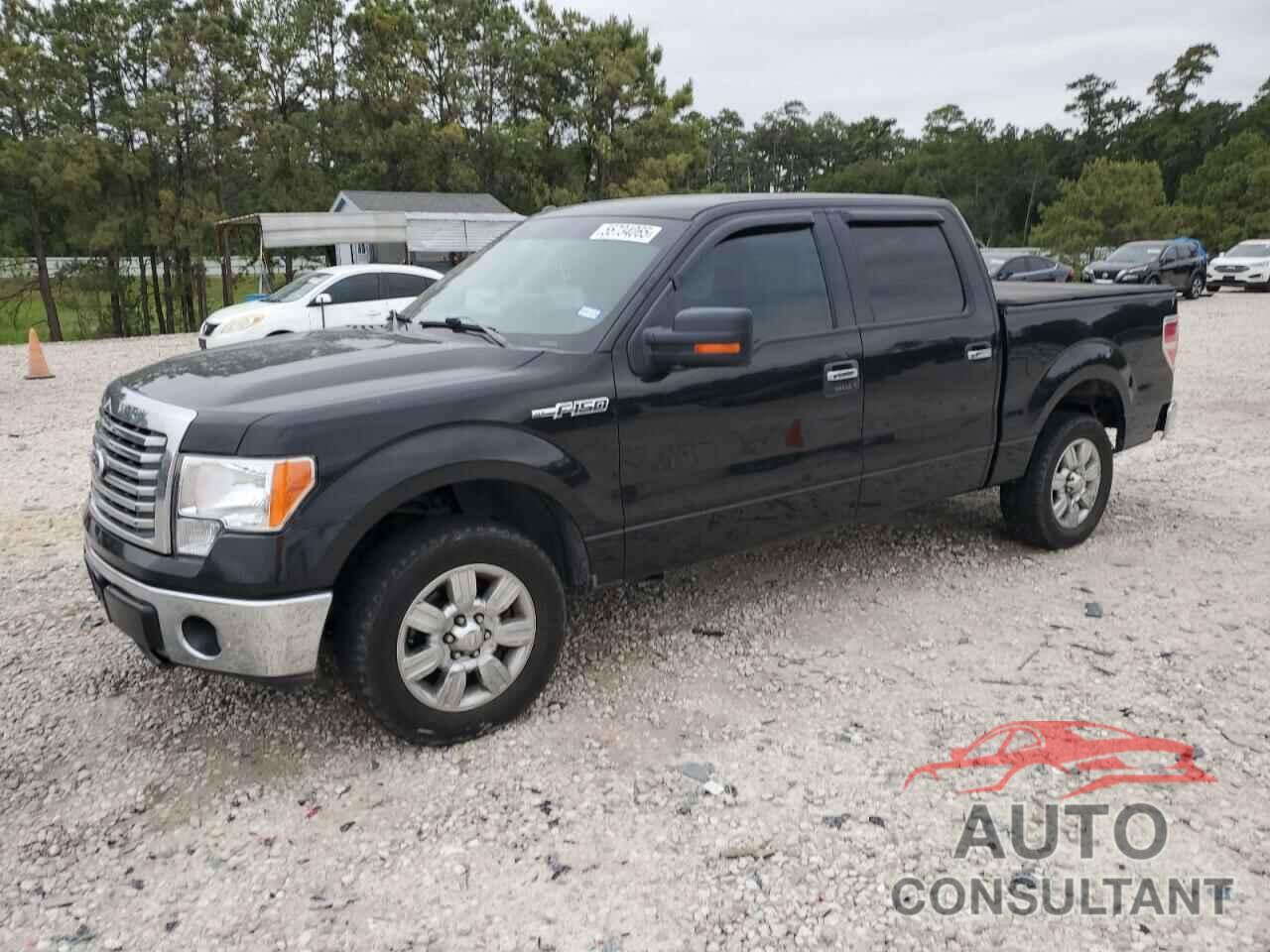 FORD F-150 2010 - 1FTEW1C89AFC56521