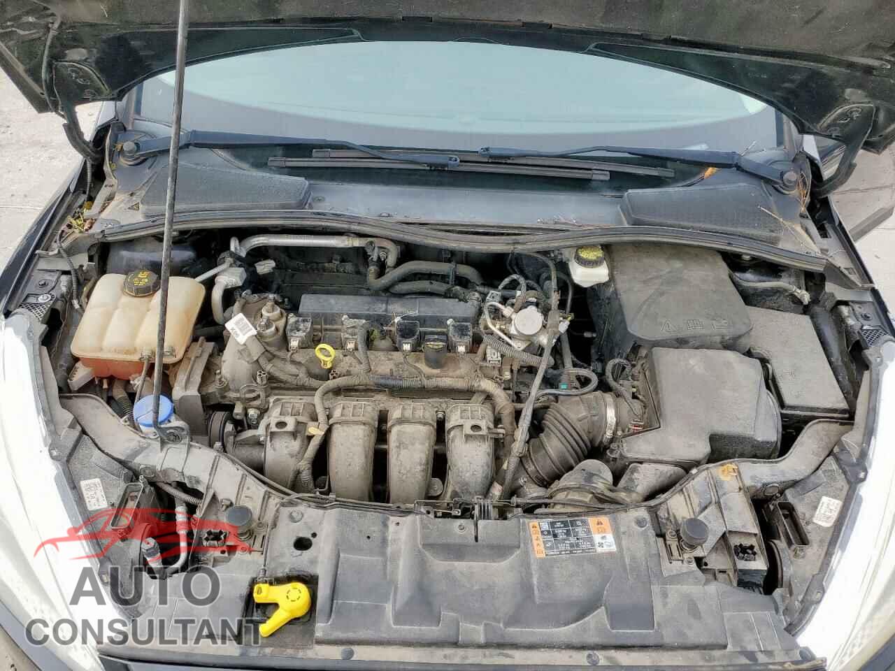 FORD FOCUS 2017 - 1FADP3K20HL259732