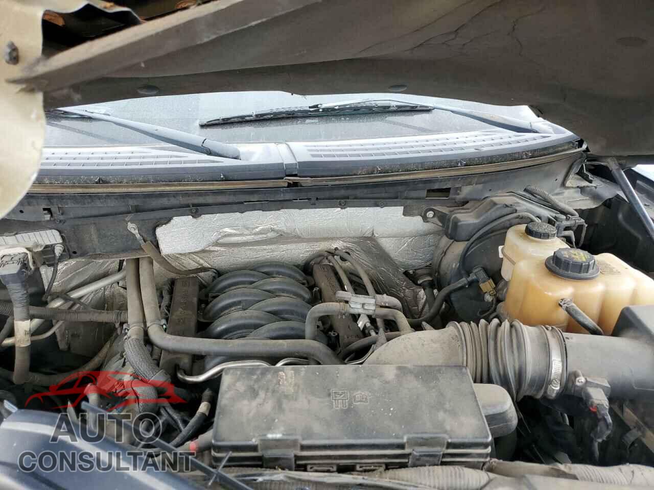 FORD F-150 2013 - 1FTFW1EF8DFA98497