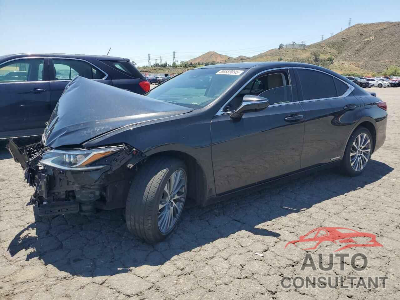 LEXUS ES300 2021 - 58ADA1C14MU003947