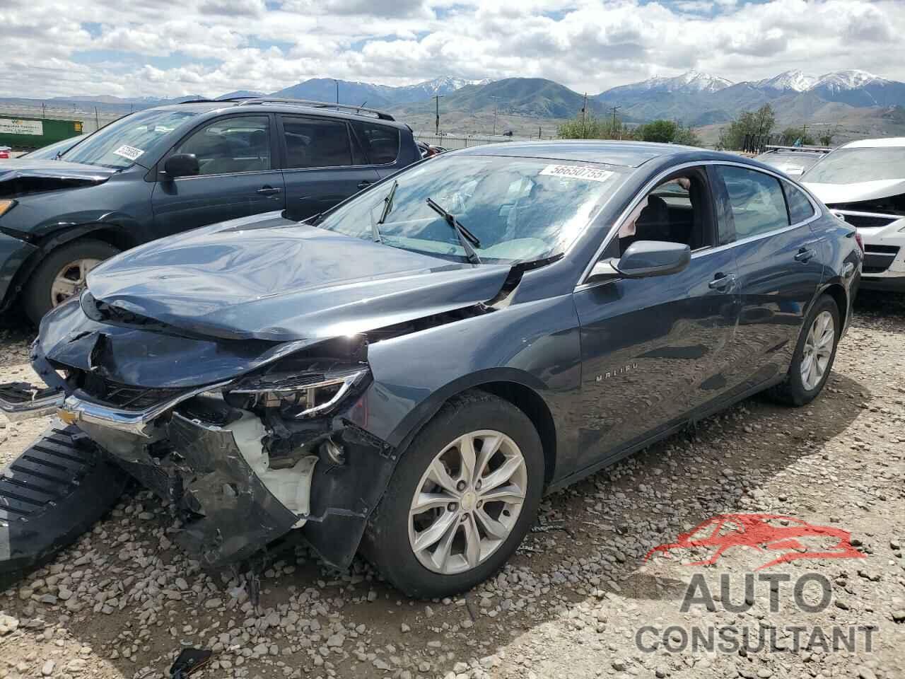 CHEVROLET MALIBU 2019 - 1G1ZD5ST9KF193905