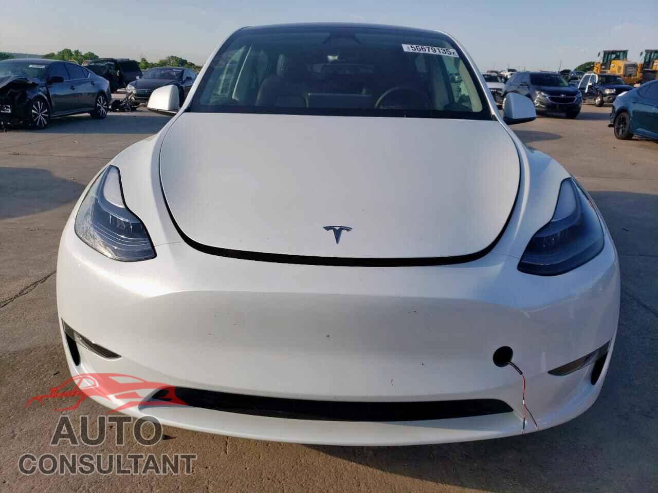 TESLA MODEL Y 2024 - 7SAYGAEE4RF154625